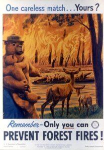 Only YOU Can Prevent Wildfires - Smokey Bear