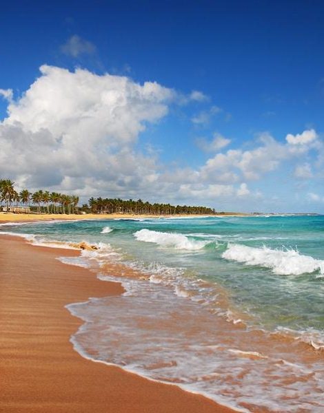 Exotic Beach in tropic islands, Punta Cana