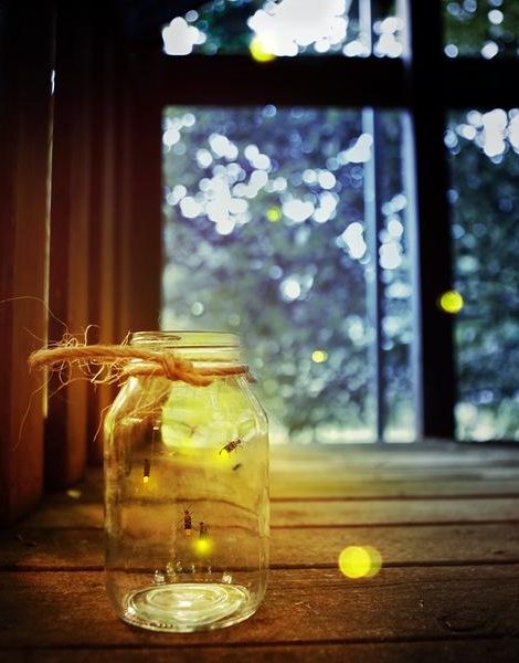 Fireflies in a jar in a child's tree fort